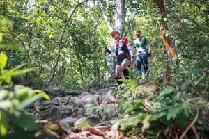 BIB: 
                            <button type="button" onclick="openModal(27699141)" class="btn btn-primary btn-sm float-right btn-popup" data-toggle="modal" data-target=".modal-high-quality">
                        <i class="fas fa-shopping-cart"></i> Add to Cart
                    </button>
                                            <button type="button" onclick="isThisMe(27699141, true)" class="btn btn-success btn-sm float-right btn-popup btn-isme hidden" data-toggle="tooltip" data-placement="bottom" title="นี่คือรูปของคุณใช่ไหม คลิกที่นี่เพื่อเอาเข้าอัลบั้ม">
                        <i class="fas fa-plus"></i> Add to album
                    </button>
                    <button type="button" onclick="isThisMe(27699141, false)" class="btn btn-warning btn-sm float-right btn-popup btn-isnotme hidden">
                        <i class="fas fa-ban"></i> Remove from album
                    </button>